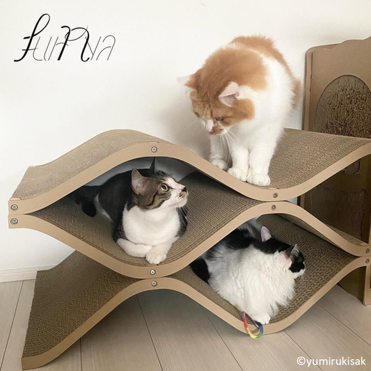 furnya(ファーニャ)ブランドについて