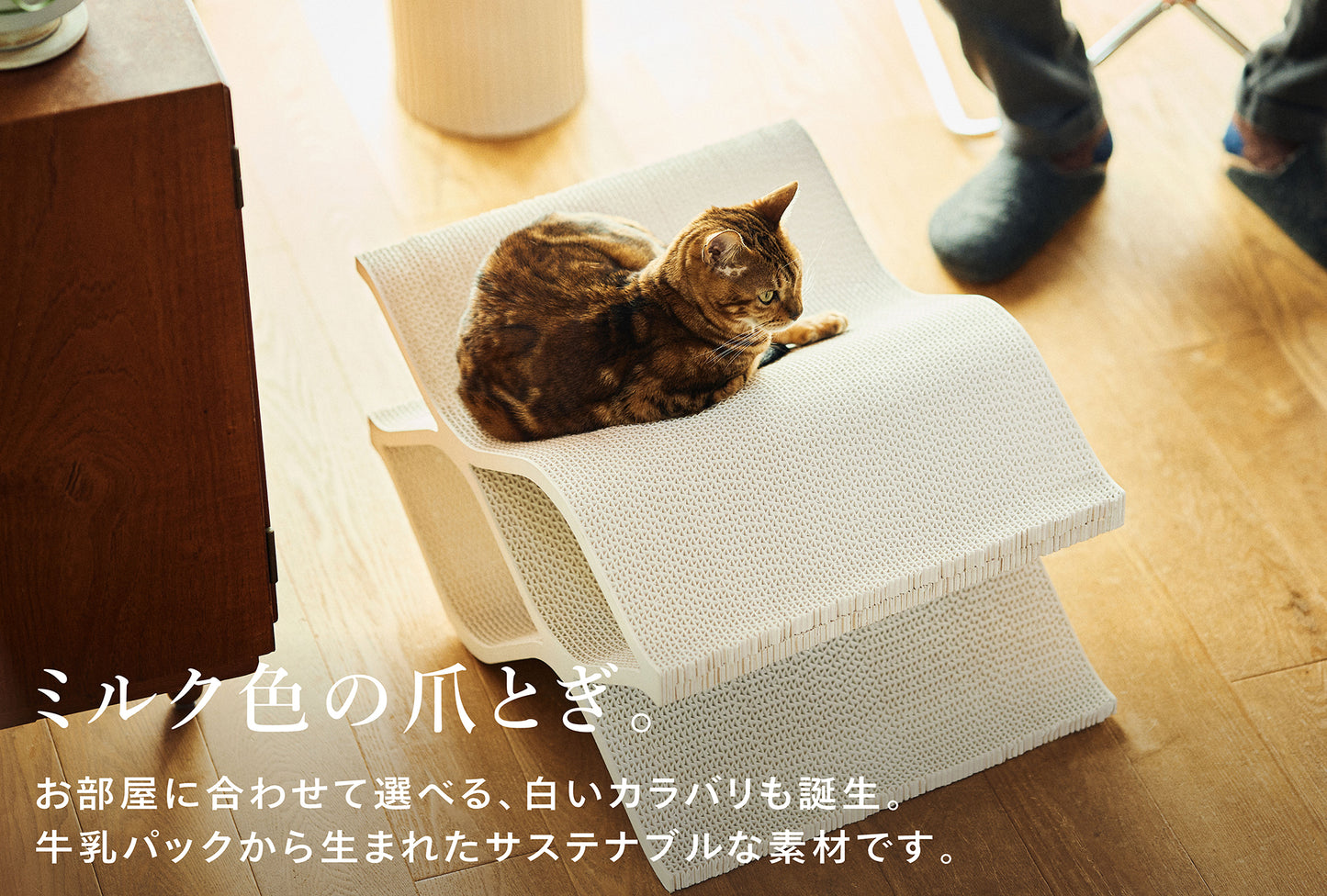 Cat Cellar mini