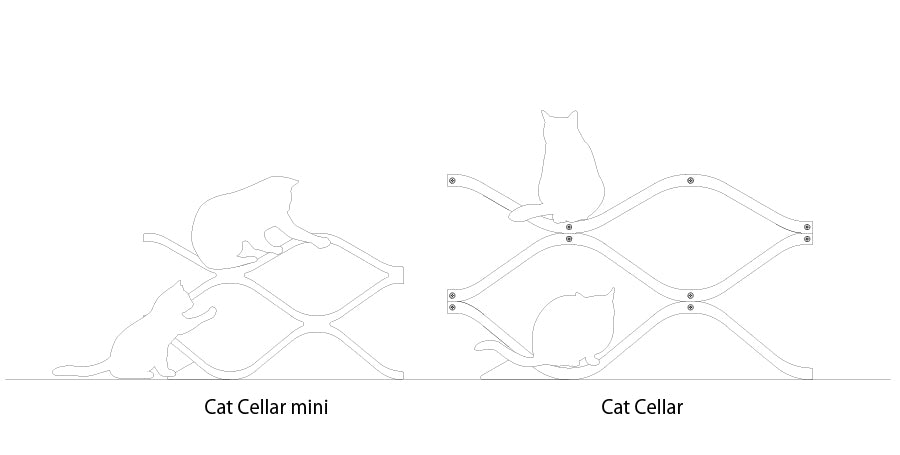 Cat Cellar