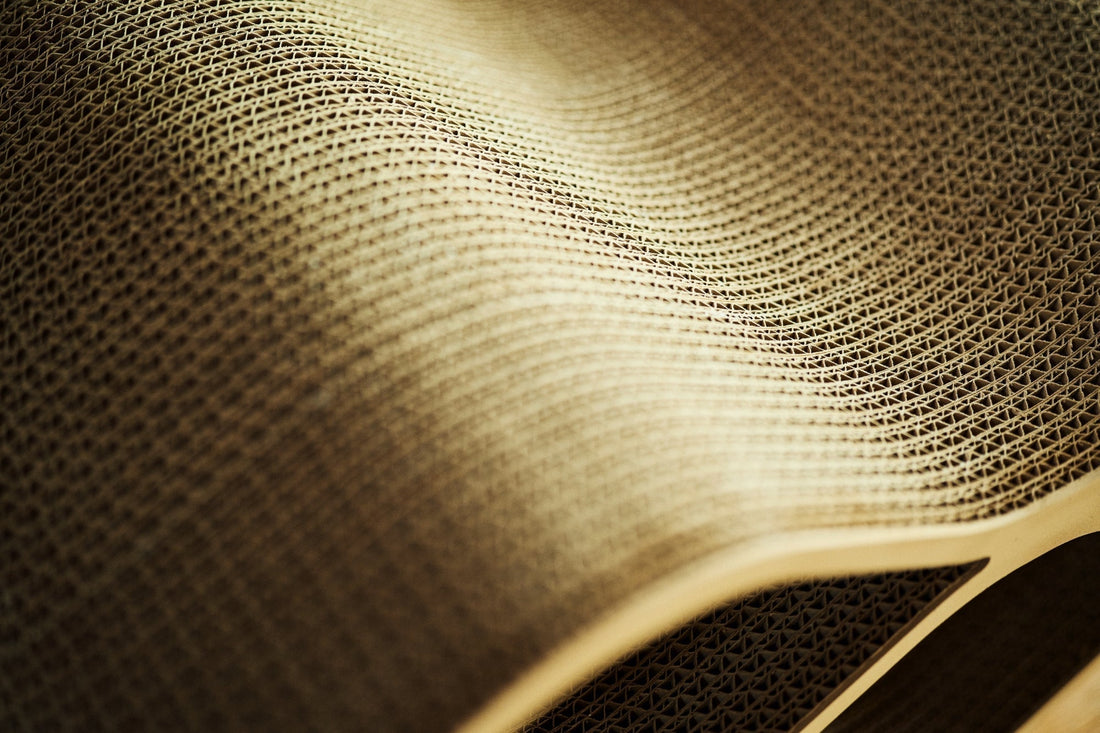 Cat Cellar miniの価格改定に関するお知らせ