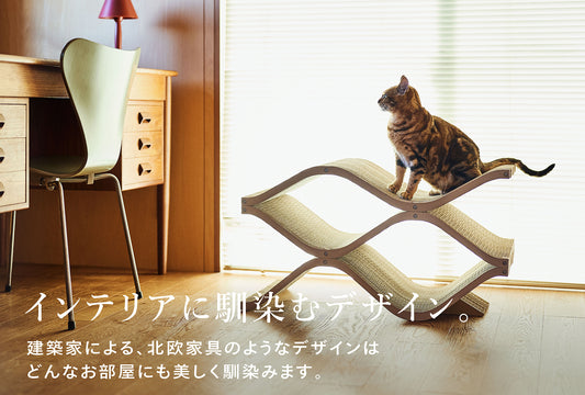 Cat Cellar　